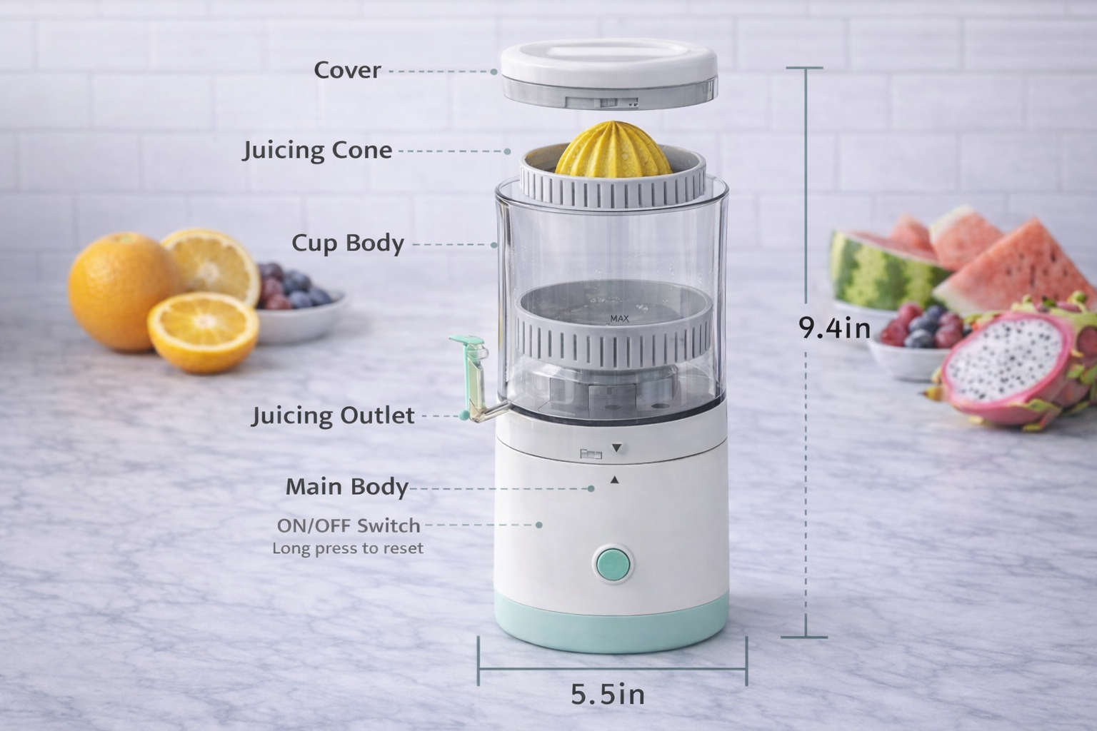 Automatic Citrus Juicer
