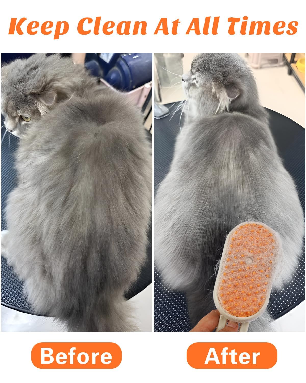 Steam Grooming Brush for Dogs & Cats